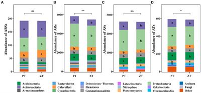 Metagenomics reveals the abundance and accumulation trend of antibiotic resistance gene profile under long-term no tillage in a rainfed agroecosystem